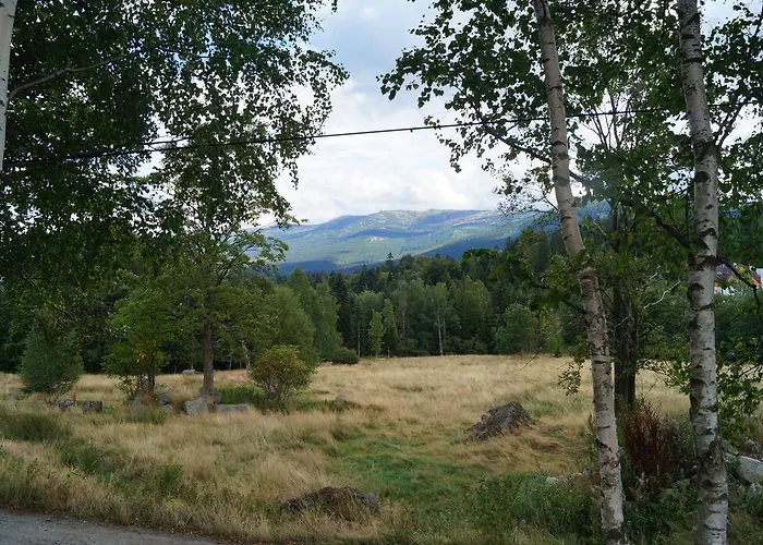 Apartmán Misiowka *