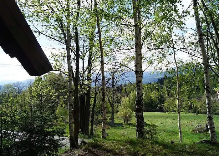 Misiowka Apartmán *