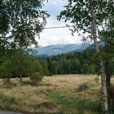 Apartment Misiowka *