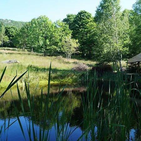 Apartment Misiowka *