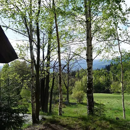 Misiowka Apartment *