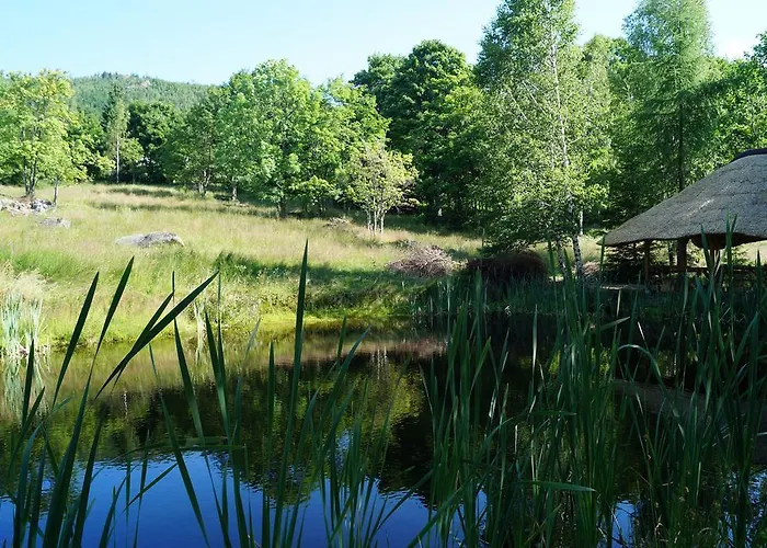 Apartament Misiówka *