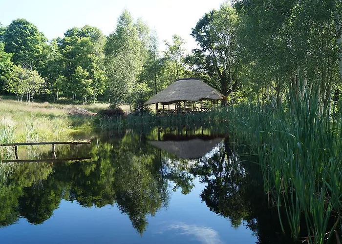 Apartament Misiówka *