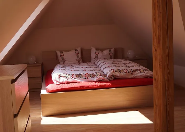 Apartament Misiówka *